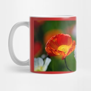 Beautiful poppy flowers close up Mug